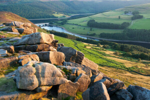 forest, hills, river, stones, valley