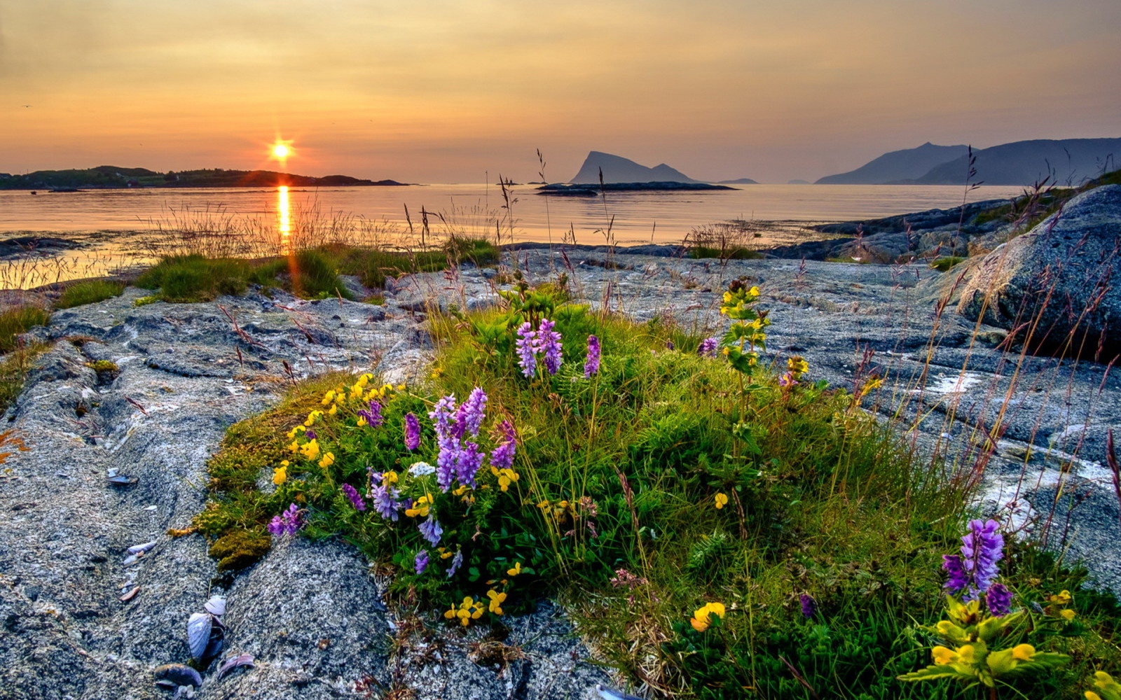 sunset, shore, sea