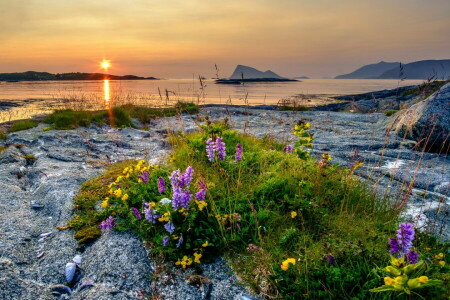 mare, riva, tramonto