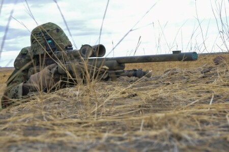 soldaten, wapens