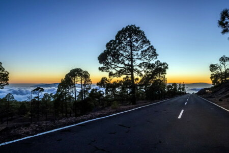 paysage, Matin, montagnes, route