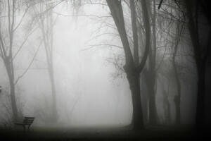 Bank, Nebel, Park