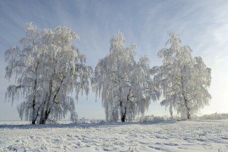 paisaje, nieve, invierno