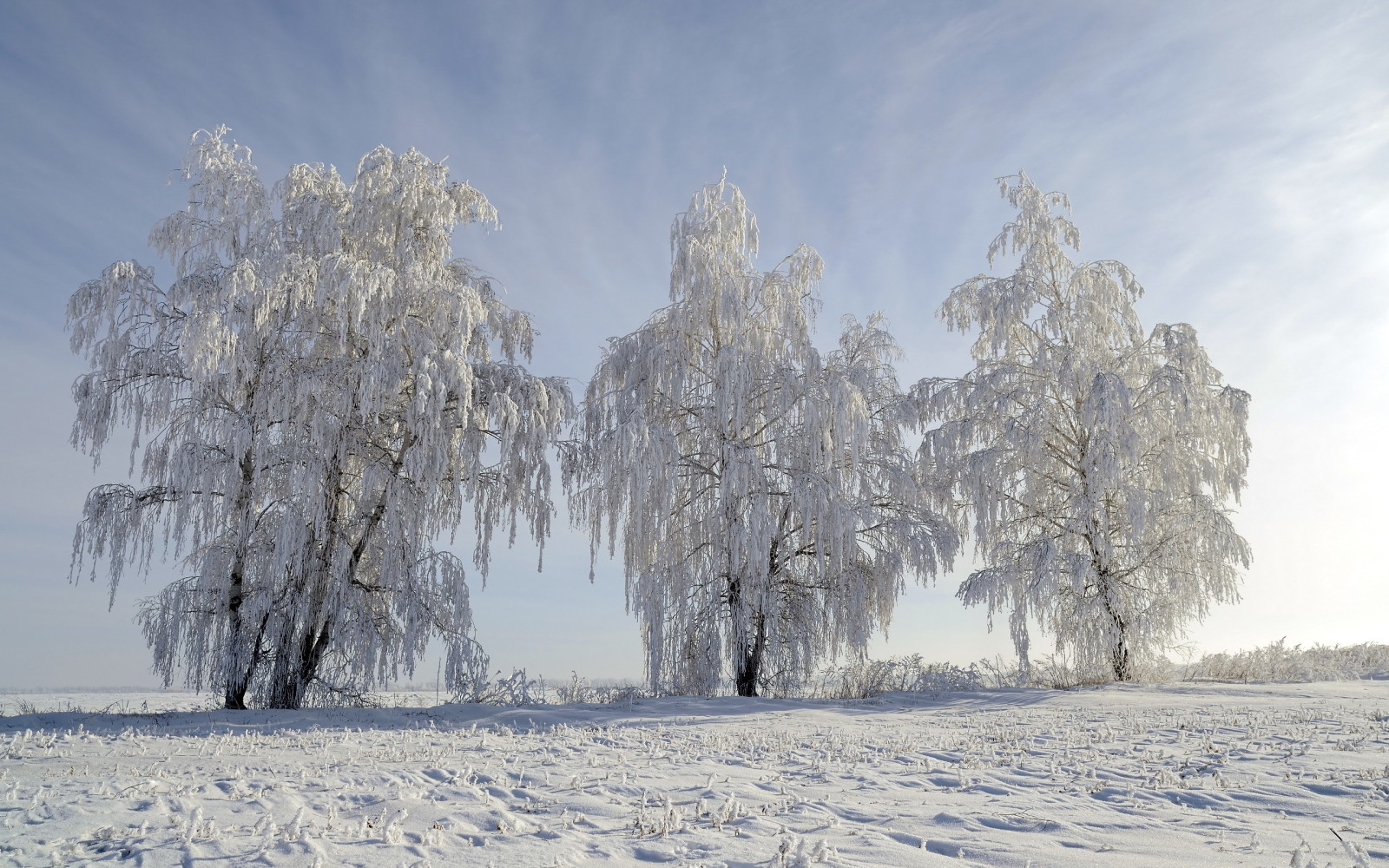 sneeuw, winter, landschap