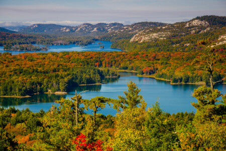 høst, skog, innsjø, fjellene, himmelen