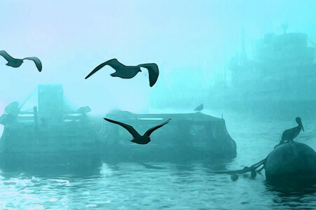 birds, fog, Harbour, ship