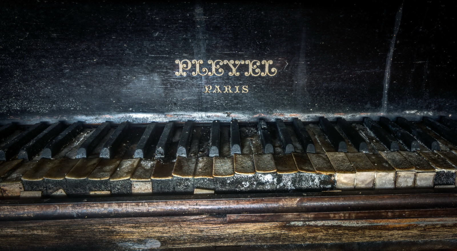 macro, Musica, pianoforte