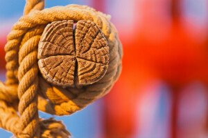 node, rope, Timber, tree