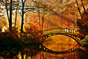 herfst, Brug, Park, vijver, de bosjes, De stralen van de zon, bomen