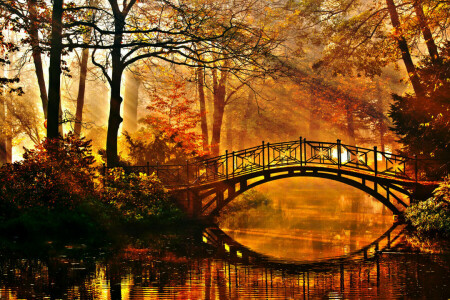 autumn, Bridge, Park, pond, the bushes, The rays of the sun, trees