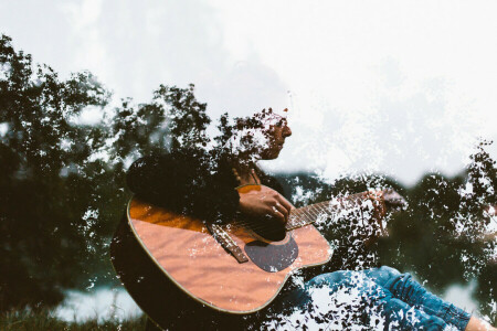 takken, gitaar, Muziek, musicus, bomen