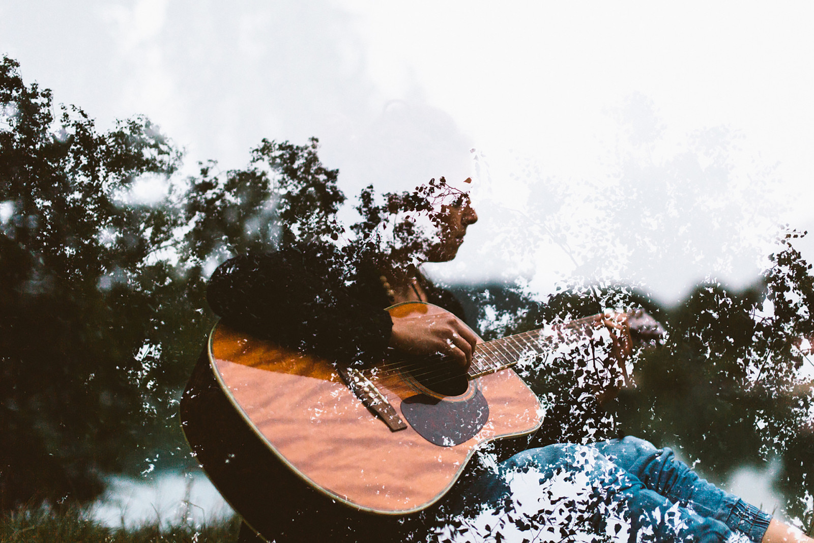 branches, trees, Music, guitar, musician