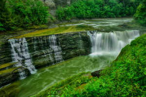 bosque, río, rock, corriente, arboles, cascada