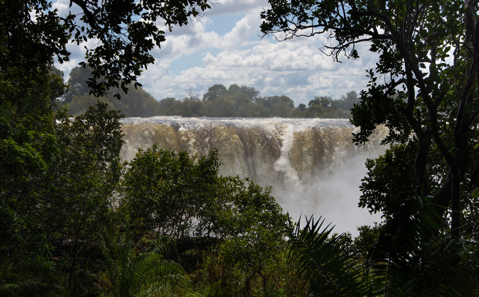 natuur, landschap, bomen, waterval