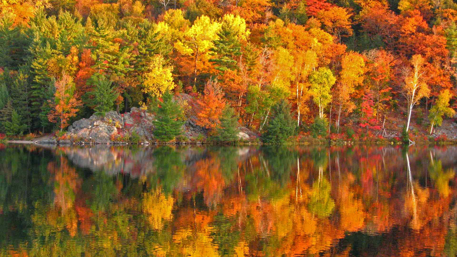 herfst, reflectie, bomen, Canada, rotsen, verf, helling, Ontario