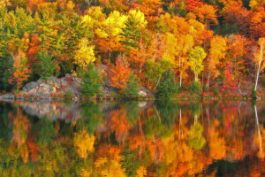 autumn, Canada, lake George, Ontario, paint, reflection, rocks, slope