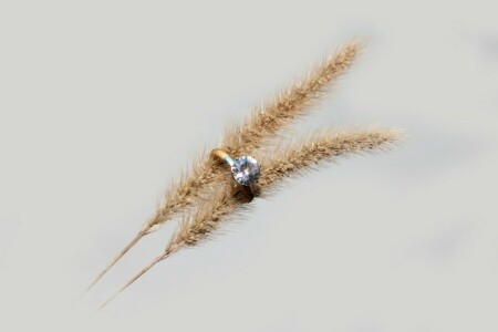 background, Diamond, ring, spikelets