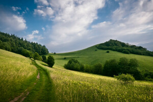 campo, colinas, paisaje, naturaleza, arboles