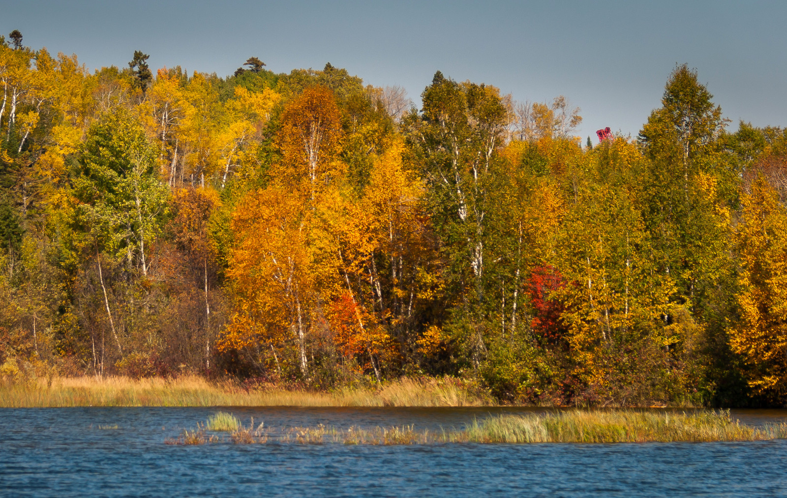 otoño, bosque, el cielo, río, arboles