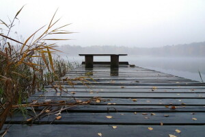 bank, Brug, riet