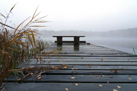 banco, Puente, Junco