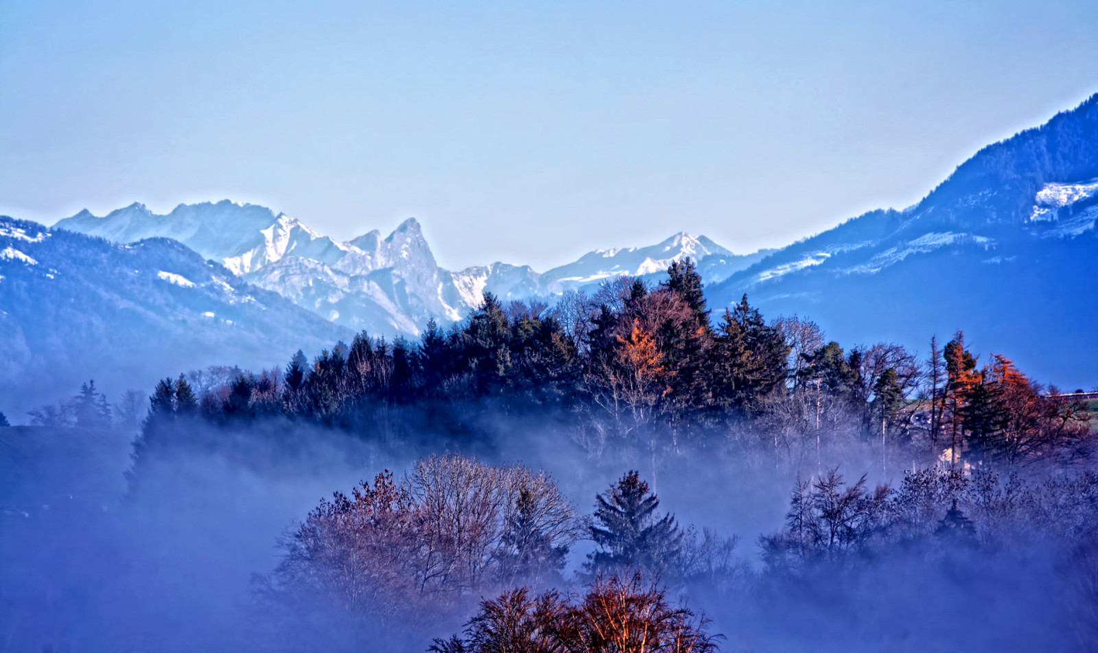 neve, autunno, foresta, alberi, montagne, nebbia