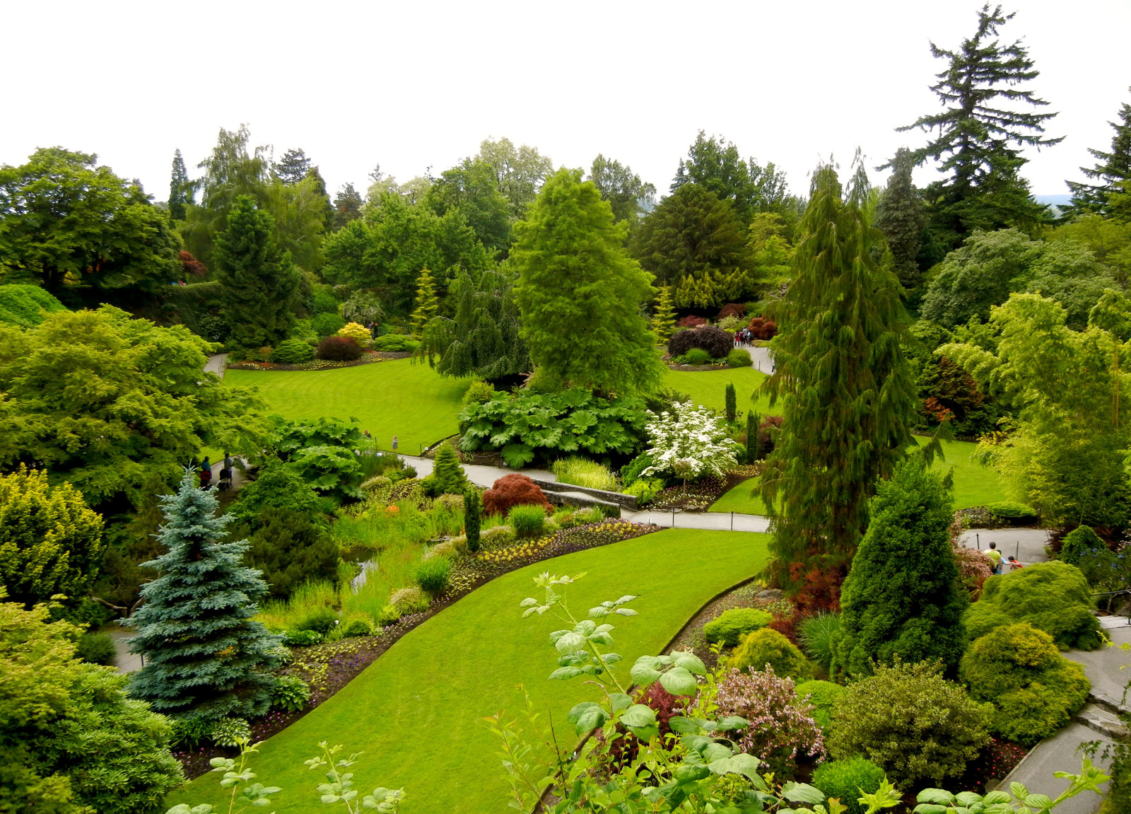 Park, trees, Canada, greens, lawn, the bushes, design, Vancouver