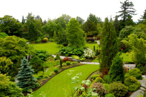 Canada, design, greens, lawn, Park, the bushes, trees, Vancouver