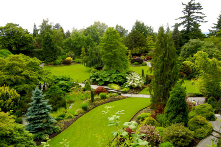 Canada, conception, légumes verts, pelouse, parc, les buissons, des arbres, Vancouver