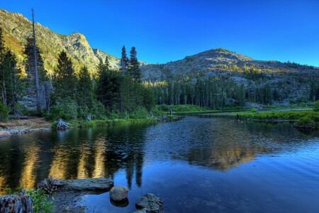 foresta, lago, montagne, riflessione, pietre, tramonto, il cielo, alberi