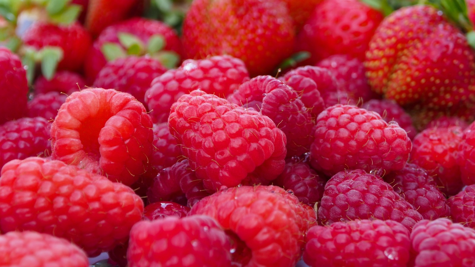 Makro, Beeren, Himbeere, Erdbeere