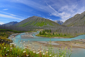 clouds, mountains, river, the sky, trees