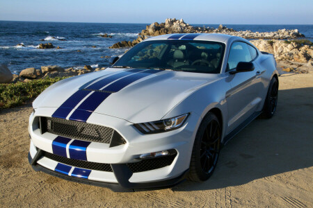 2015, doorwaadbare plaats, GT350, Mustang, Shelby