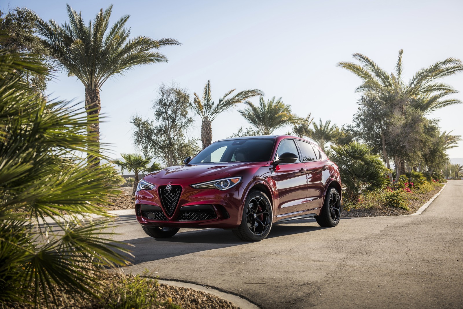 Alfa Romeo, Stelvio, Four-leaf clover, Black Edition