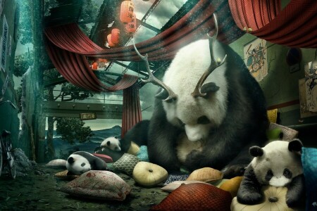 bike, Desktopography, horns, Panda, pillow, room