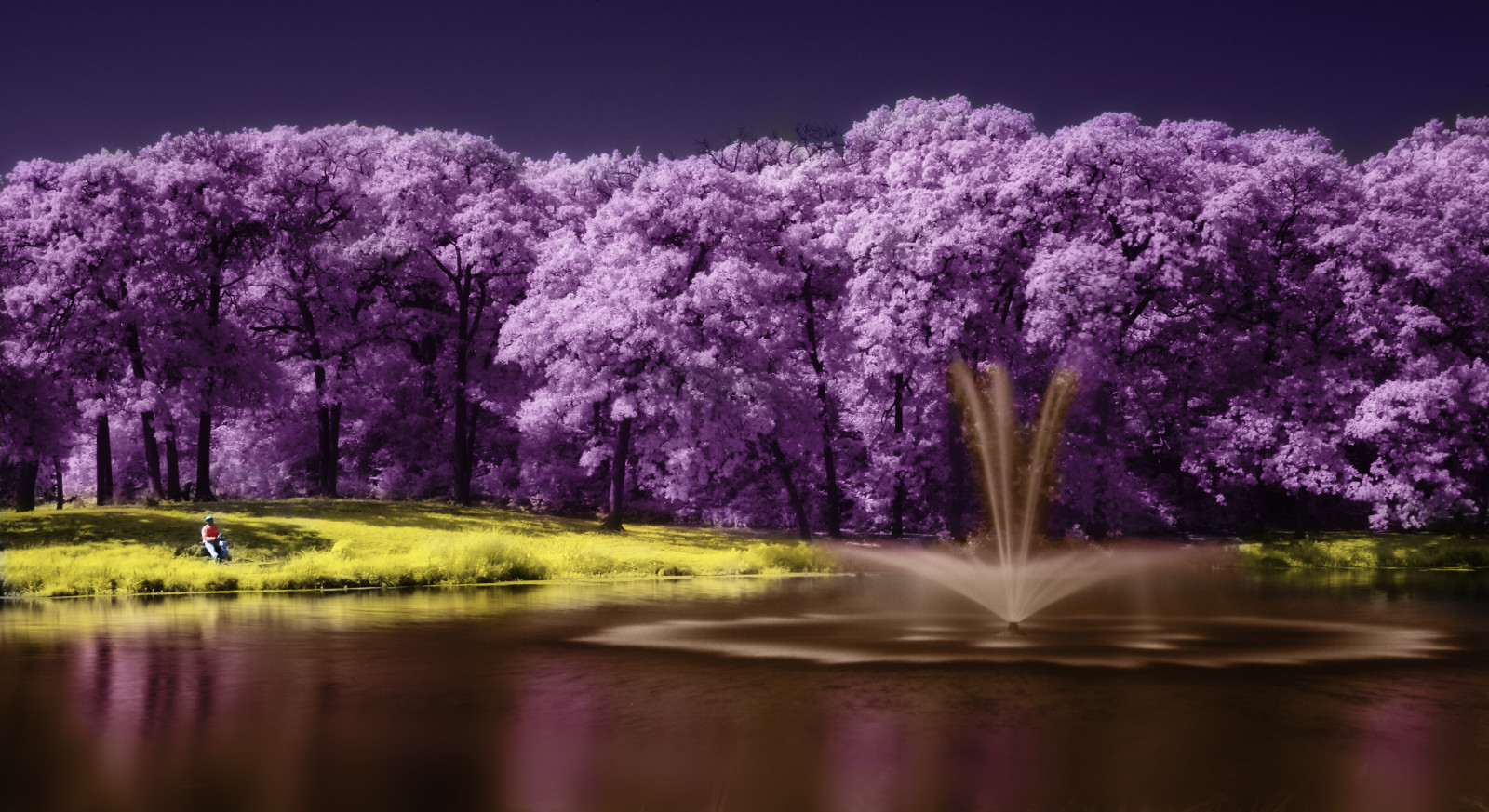 albero, lago, paesaggio, viola, Scenario