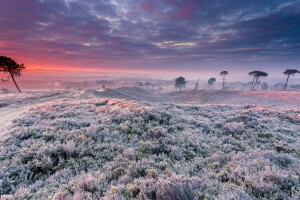 veld-, landschap, zonsondergang