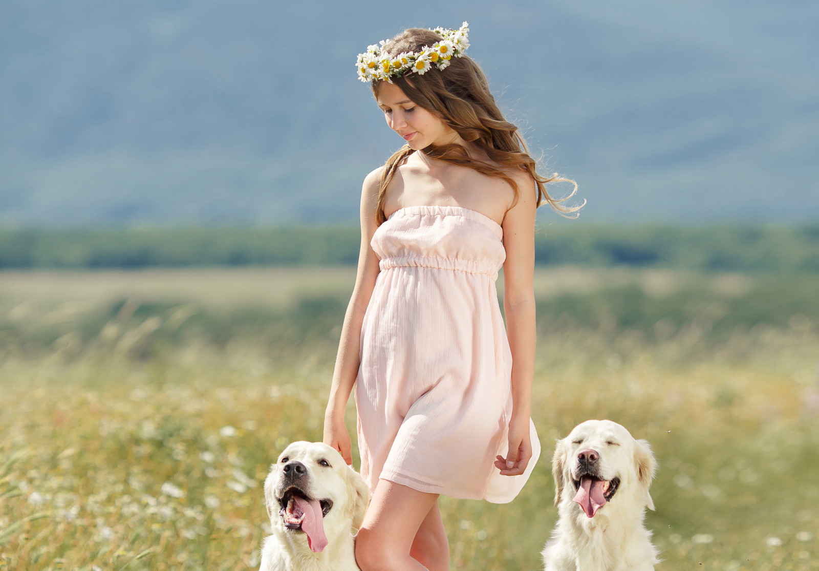 girl, smile, chamomile, brown hair, dogs, wreath