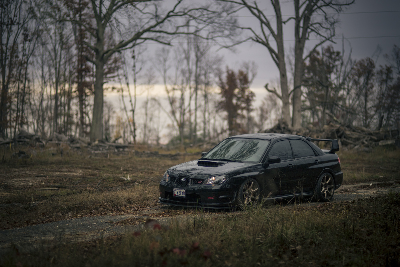 route, des arbres, branche, lampe, roue, Subaru, WRX, STI