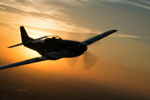 Fighter, flight, Mustang, P-51