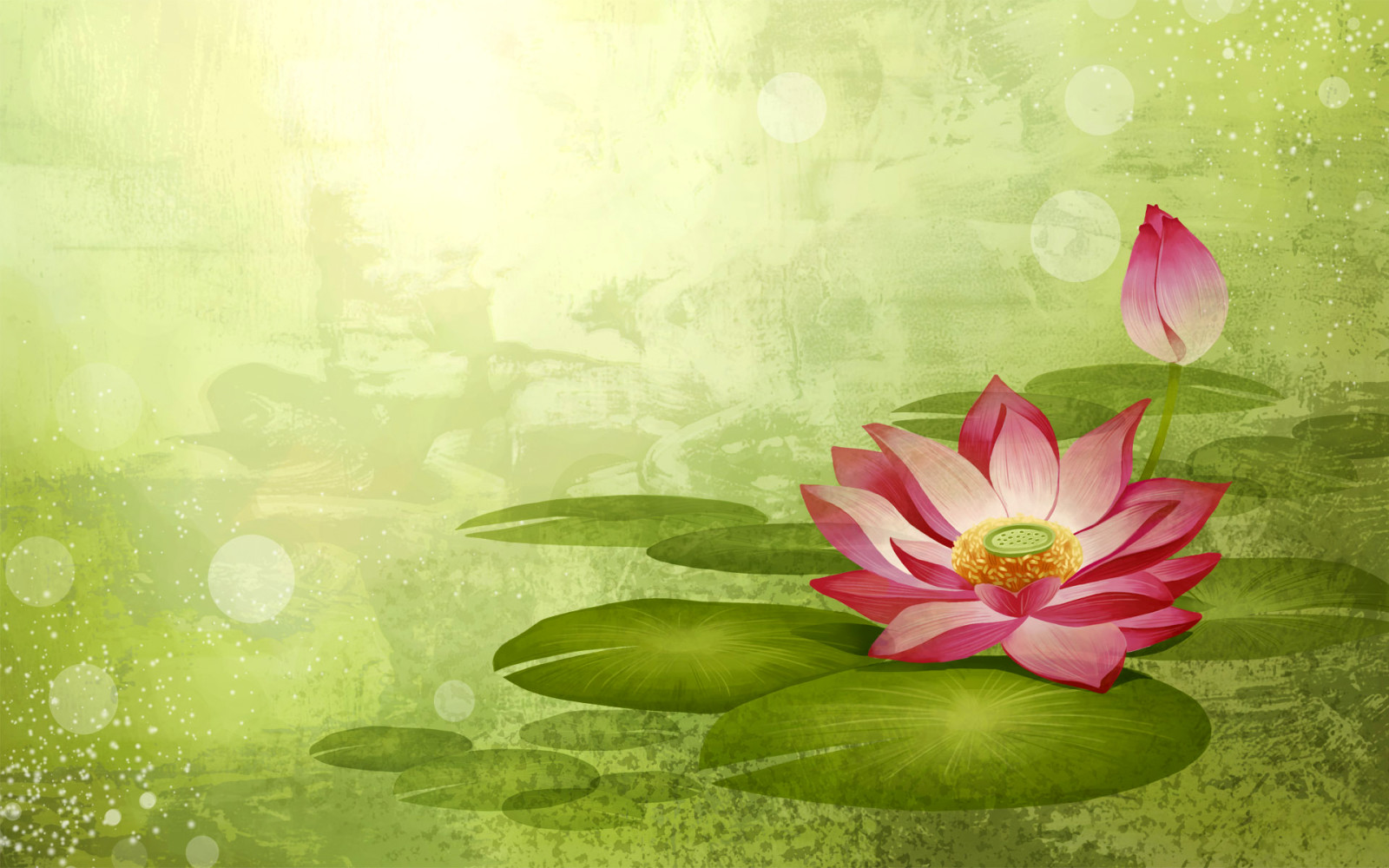 blomst, maling, petals, Lotus, Vector