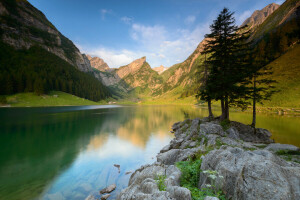 lac, peisaj, munţi, vară