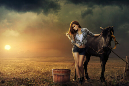 field, girl, horse, the sun