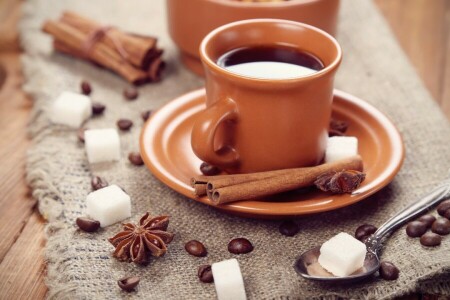 Anis, cinnamon, coffee, Cup, grain, saucer, spices, spoon