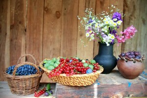 Beeren, Blaubeeren, Johannisbeeren, Blumen, Stachelbeere, Stillleben, Sommer-