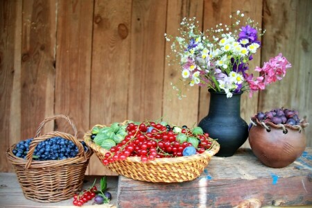 frutti di bosco, mirtilli, ribes, fiori, uva spina, Natura morta, estate