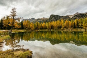 outono, floresta, lago, natureza, reflexão