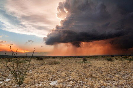 nuvens, campo, chuva