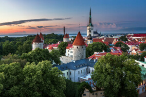 agosto, Estonia, casa, estate, Tallinn, la città, la sera