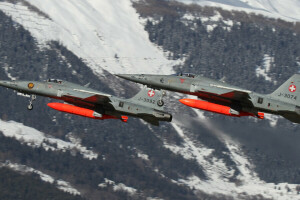 F-5E, Fighters, Többcélú, Tigris II